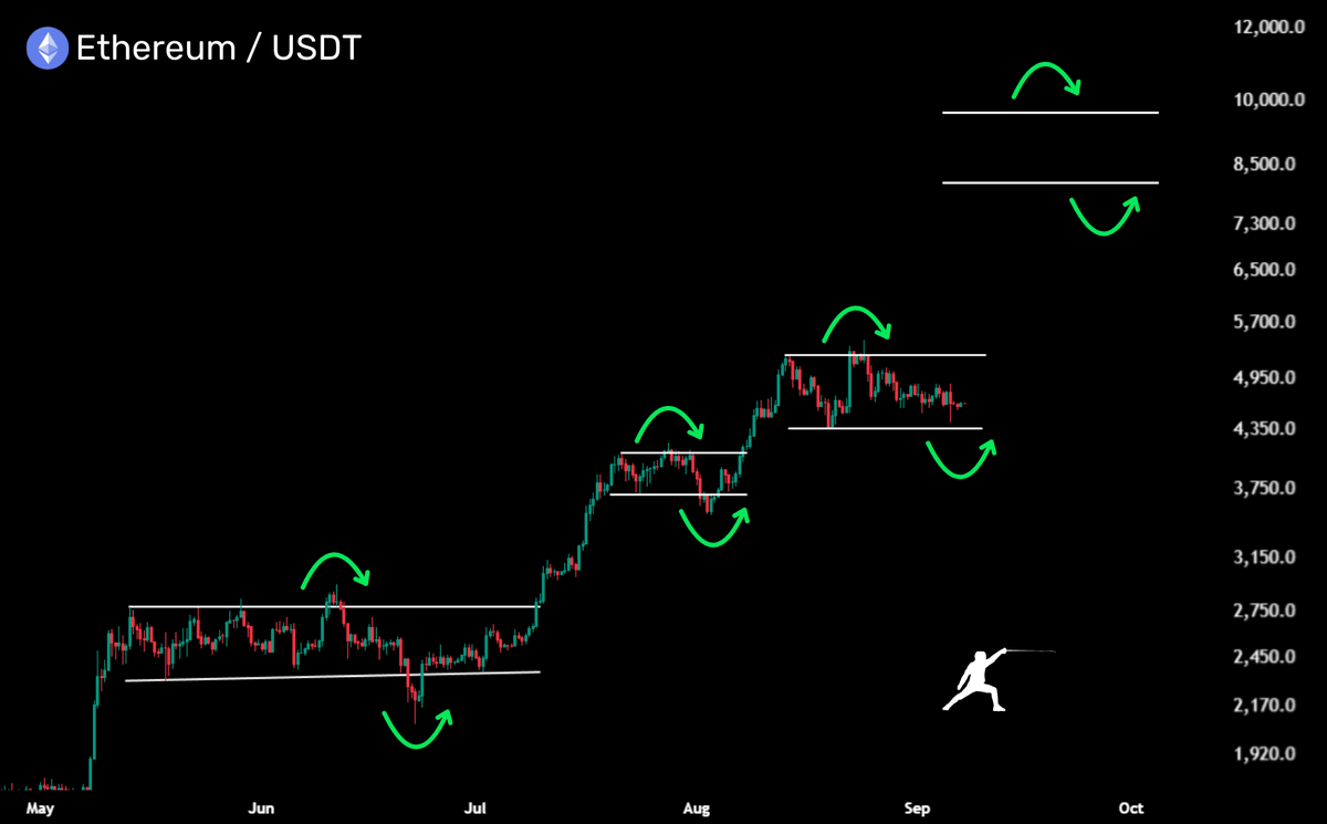 Rekt Fencer tweet media