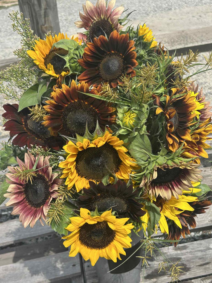 🌻 There’s no better time to enjoy our Sunflower Fun on the Farm! Wander through the blooms, snap family photos, and take home the memories (and maybe even a bouquet!). Don’t miss this fun end-of-summer experience. 🌞

🌻 visitpattersonfarm.com/plan-your-visi…

📍 10390 Caldwell Rd, Mount Ulla