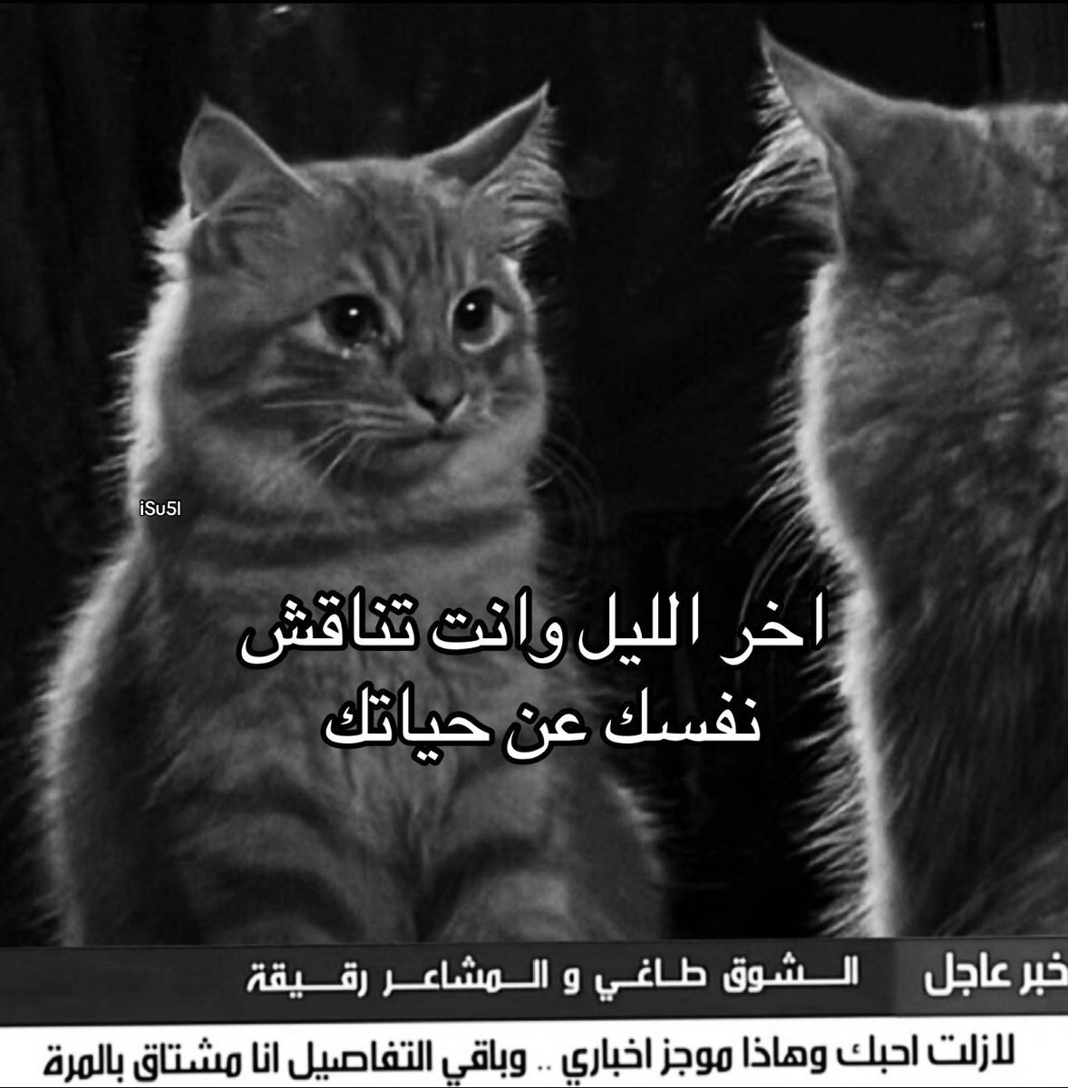 Su (@z9ro6) on Twitter photo 