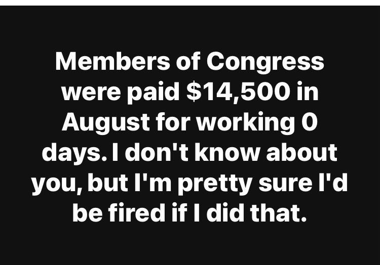 Suzie rizzio tweet media