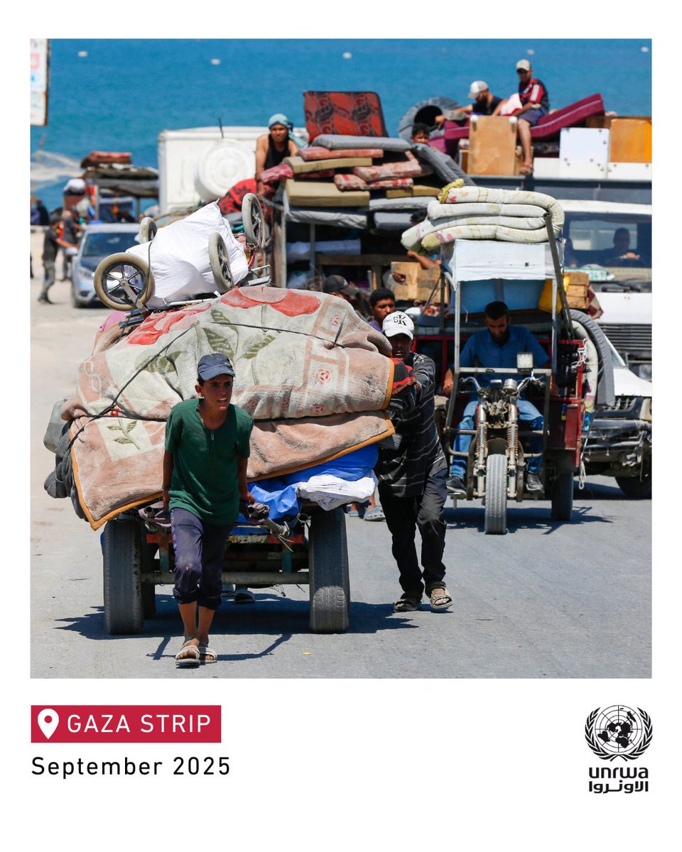 In #Gaza, thousands are being forcibly displaced once again from their homes - uprooted by ongoing attacks, and confined to tiny, unsafe areas.

With buildings, schools, shelters, and hospitals destroyed, access to food, clean water, and other essential supplies is severely