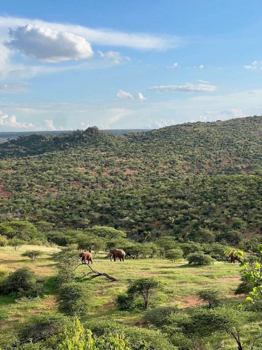 📍Samburu, Kenya🇰🇪