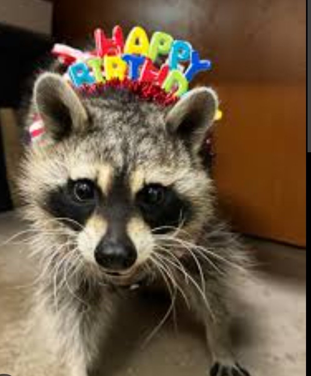 Buon compleanno a una delle persone più belle di tutto X e l'universo!!!
Auguri <a href="/chiarafer24/">Chiara</a> e grazie di esserci sempre, mi hai insegnato che la distanza è solo un optional se due persone si vogliono bene❤️