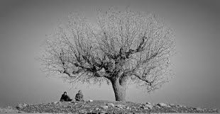 عشق چون کهنه شود 
               محو نگردد به فراق…..

#محتشم_کاشانی