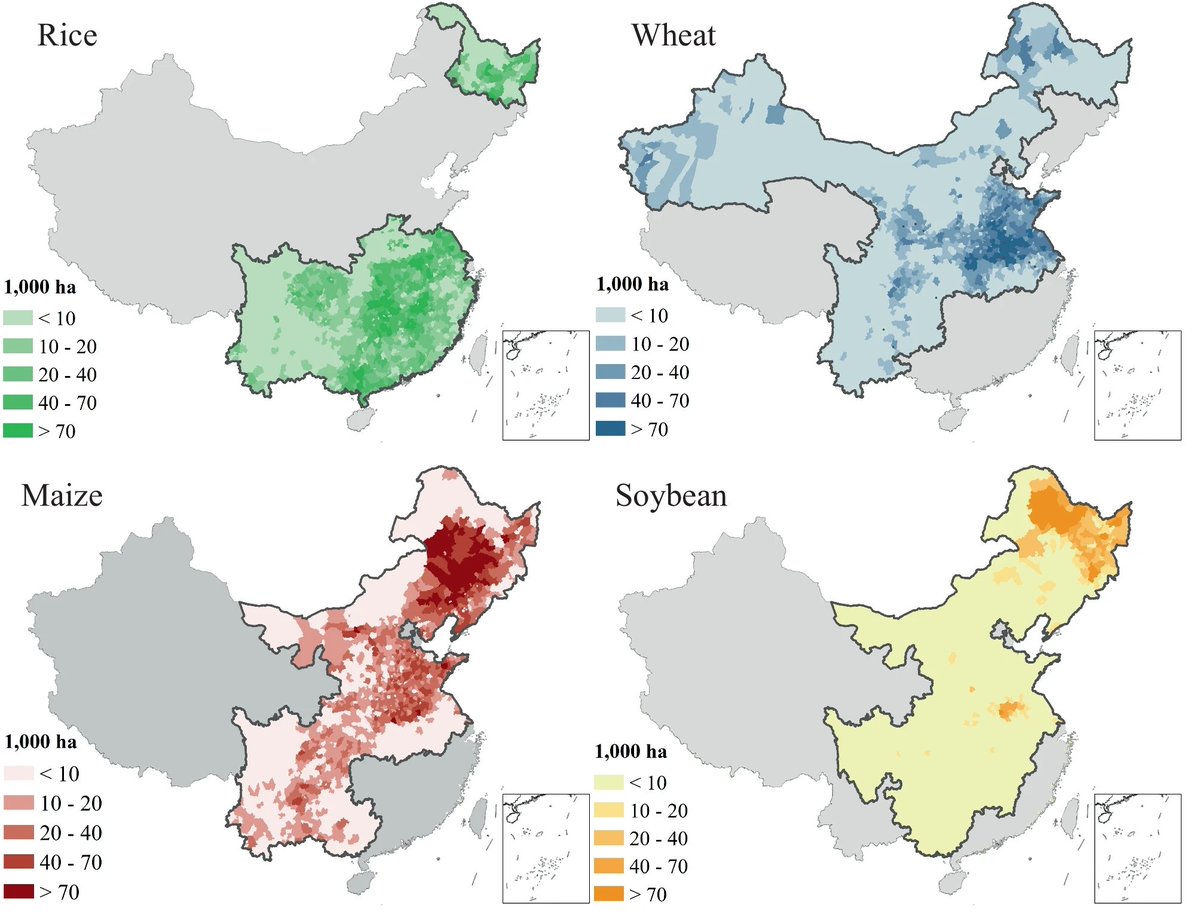 The cultivation region of each of the 4 major crops in China. 

Rice or wheat (since the Tang Dynasty) were historically China's primary crops, but since ~2010 maize (corn) has exceeded both in land use (hectares) and output (tonnage).