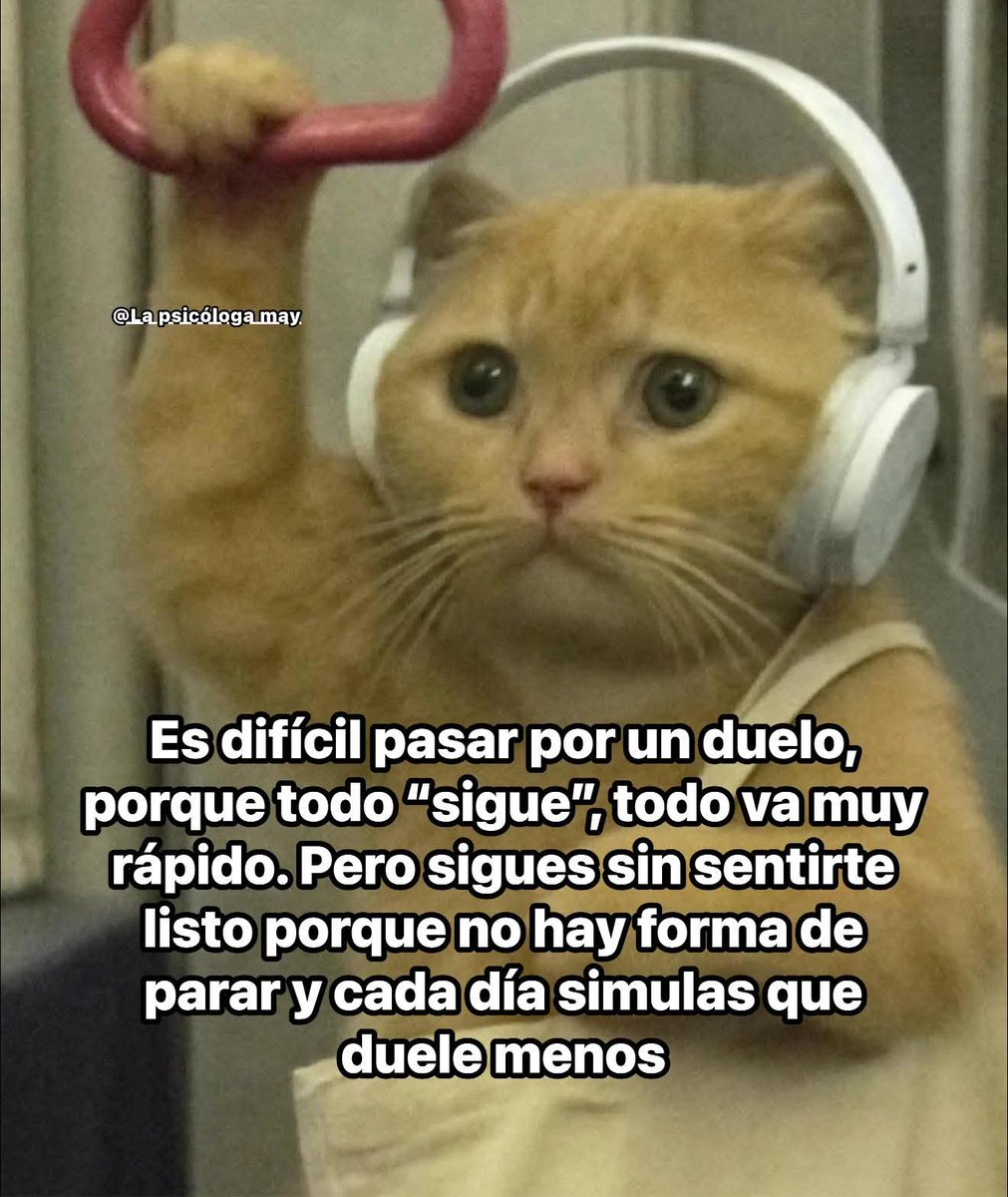 Borrador tweet media