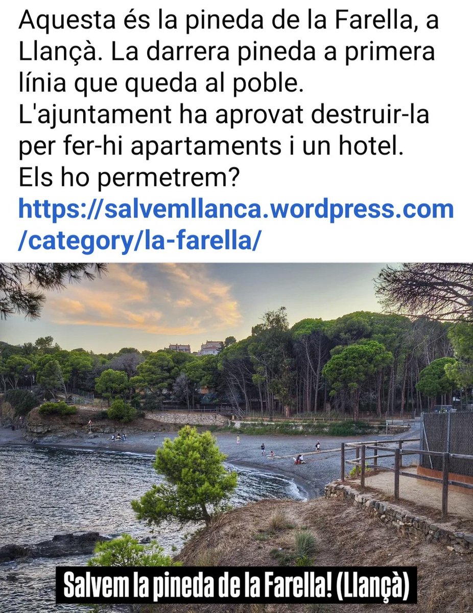 La Pineda de la Farella perilla. Una colla d'insensats segueixen fent les barbaritats dels darrers 50 anys, o sia, destruir i  créixer irracionalment. En temps de colapse social i econòmic manténen la Natura com esclava no com aliada. On és la #Sostenibilitat❓ <a href="/Llancaturisme/">Llançà Turisme</a>