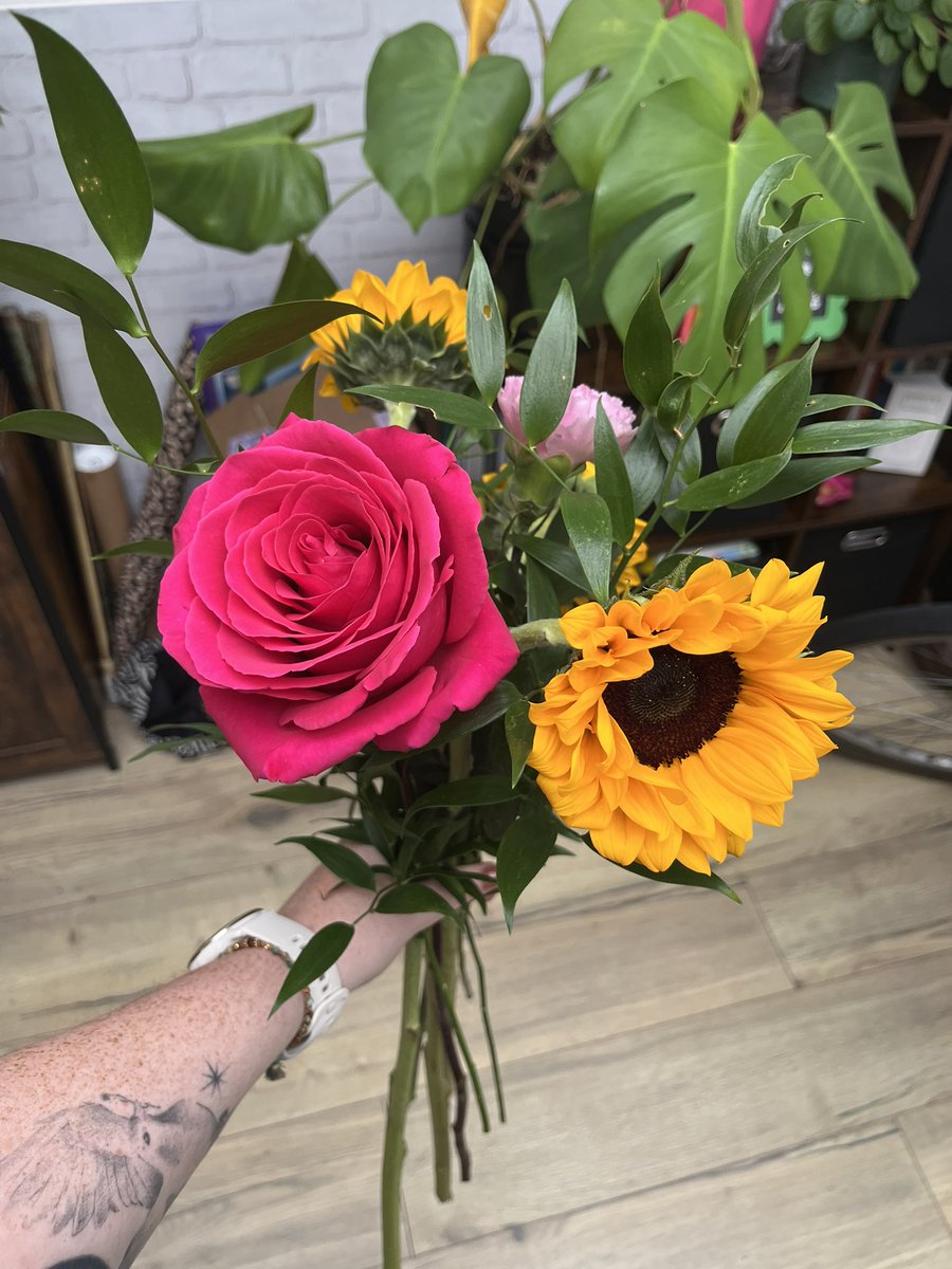 Julie passion tournesol 🌻