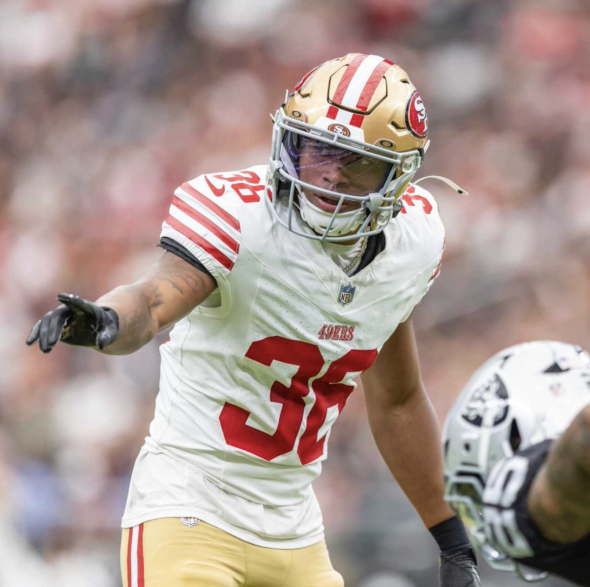 NDSUfootball's tweet image. #ProBison