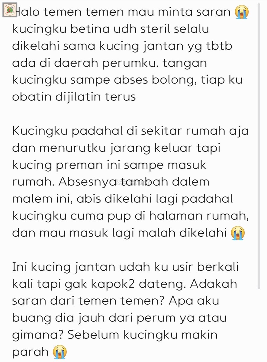 KochengFess v2 tweet media