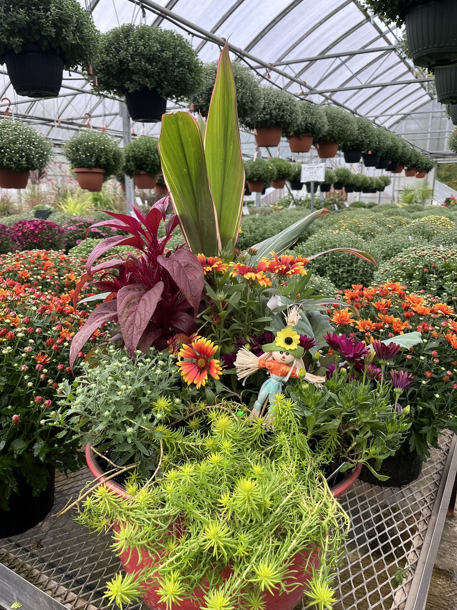 Carl mazzocca (@cvmazzocca) on Twitter photo 