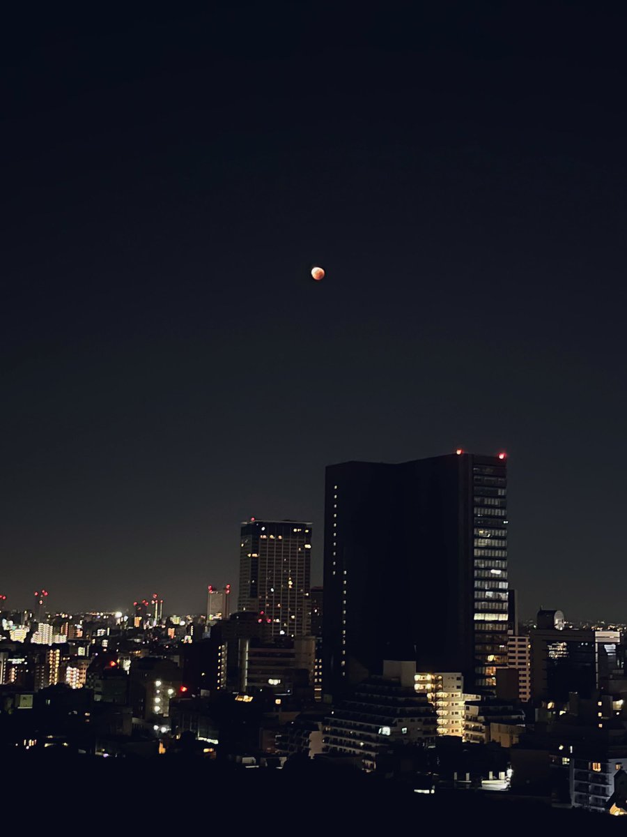 地上に星空を 書籍紹介＞ 地上に星空を（伊東昌市 著）