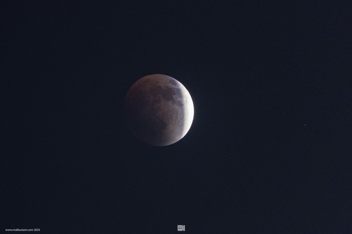 Malbustani 📷 محمد البستاني tweet media