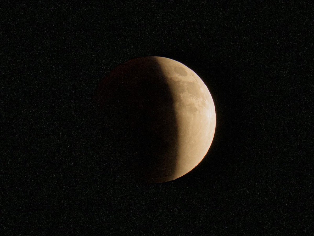 الشيخ بدر التركي:

العاقل صاحب القلب الحي من إذا نابه خطب أو حل به كرب لجأ إلى ربه يضع جبينه على الأرض استجابة لله فيطرق أبواب السماء بدعوات اللطف والفرج وكشف الكربة.

-