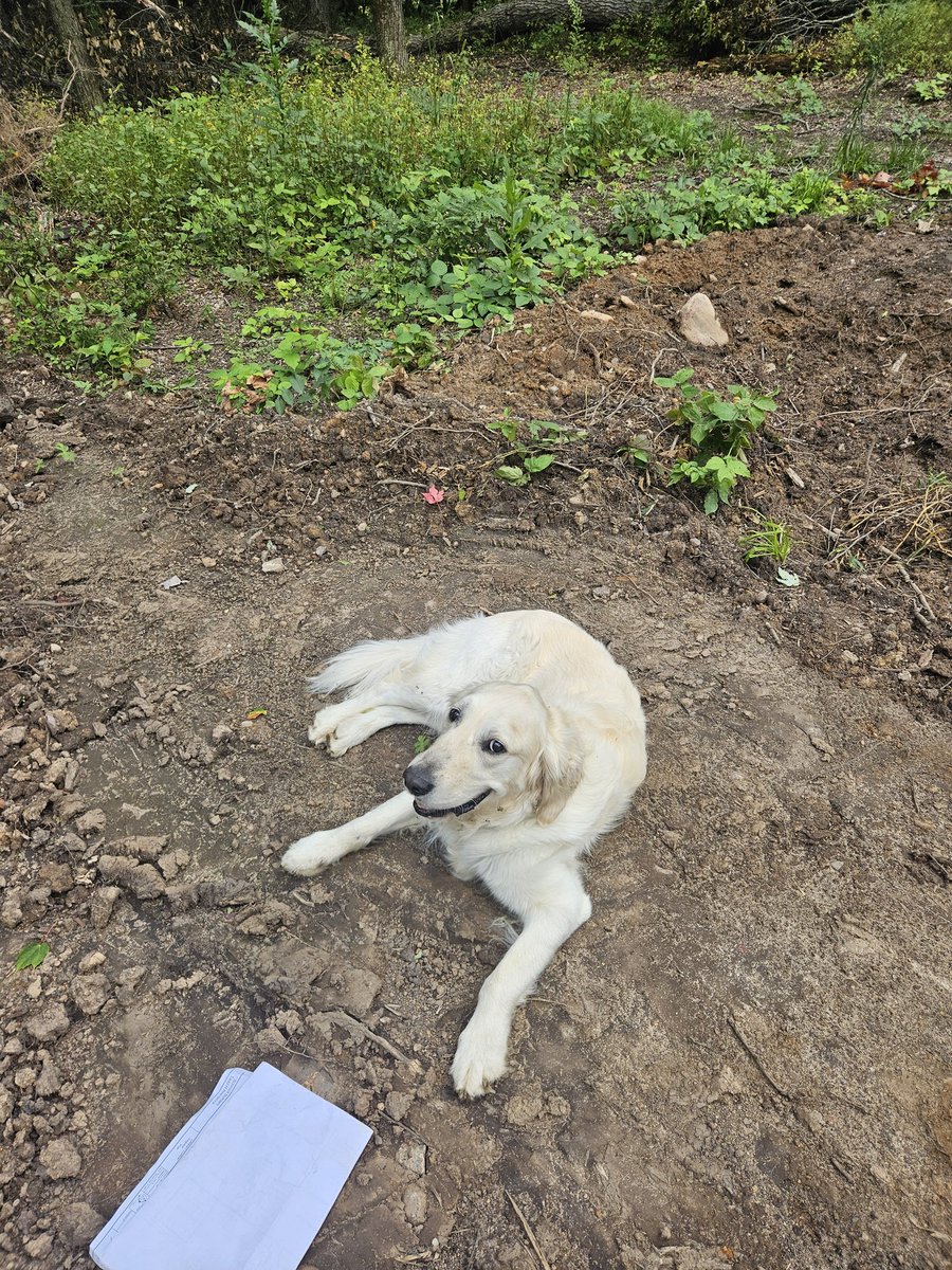 Kayde_Woof tweet media