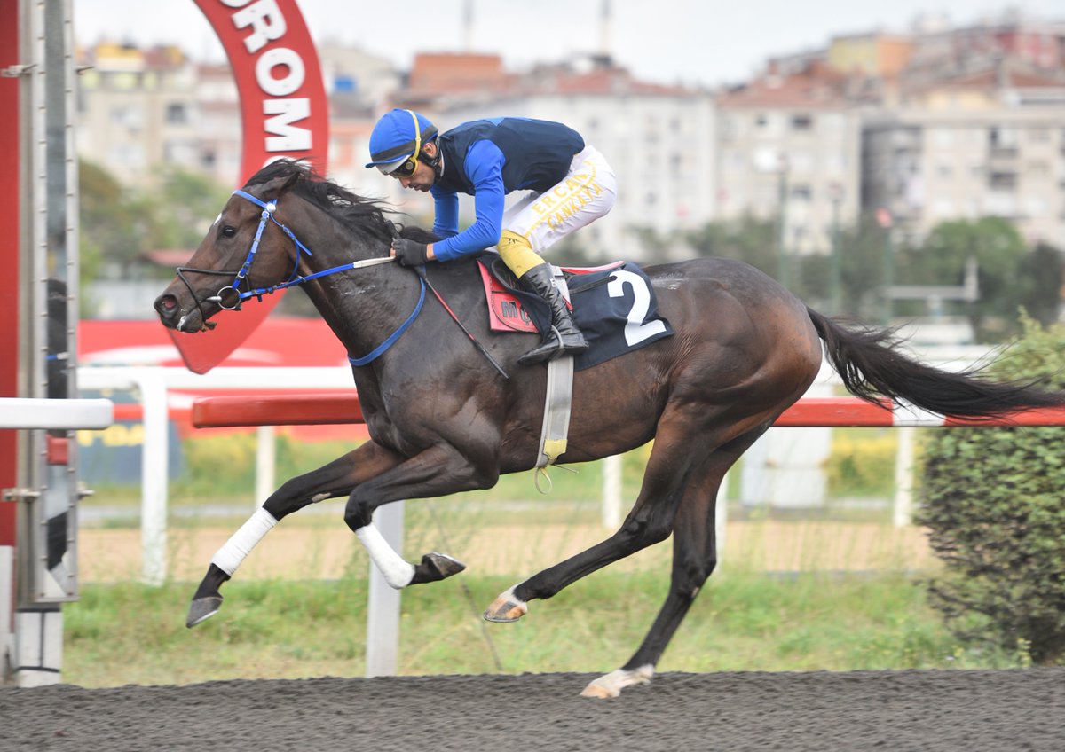 Güney Amerika Safkan İngiliz Atı Organizasyonu OSAF Koşusu’nu Power Of Hakeem kazandı

tjk.org/TR/YarisSever/…