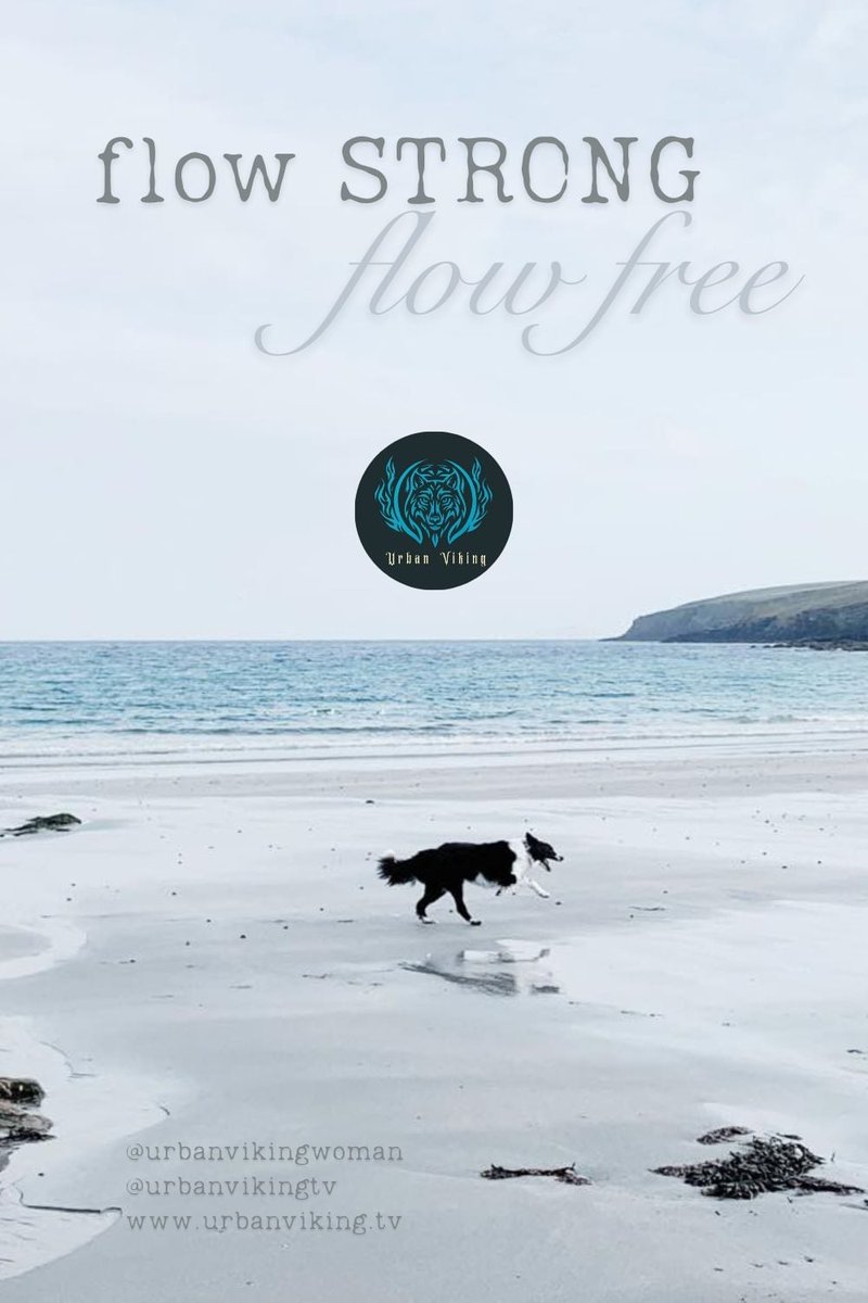 Ocean Cry tweet media