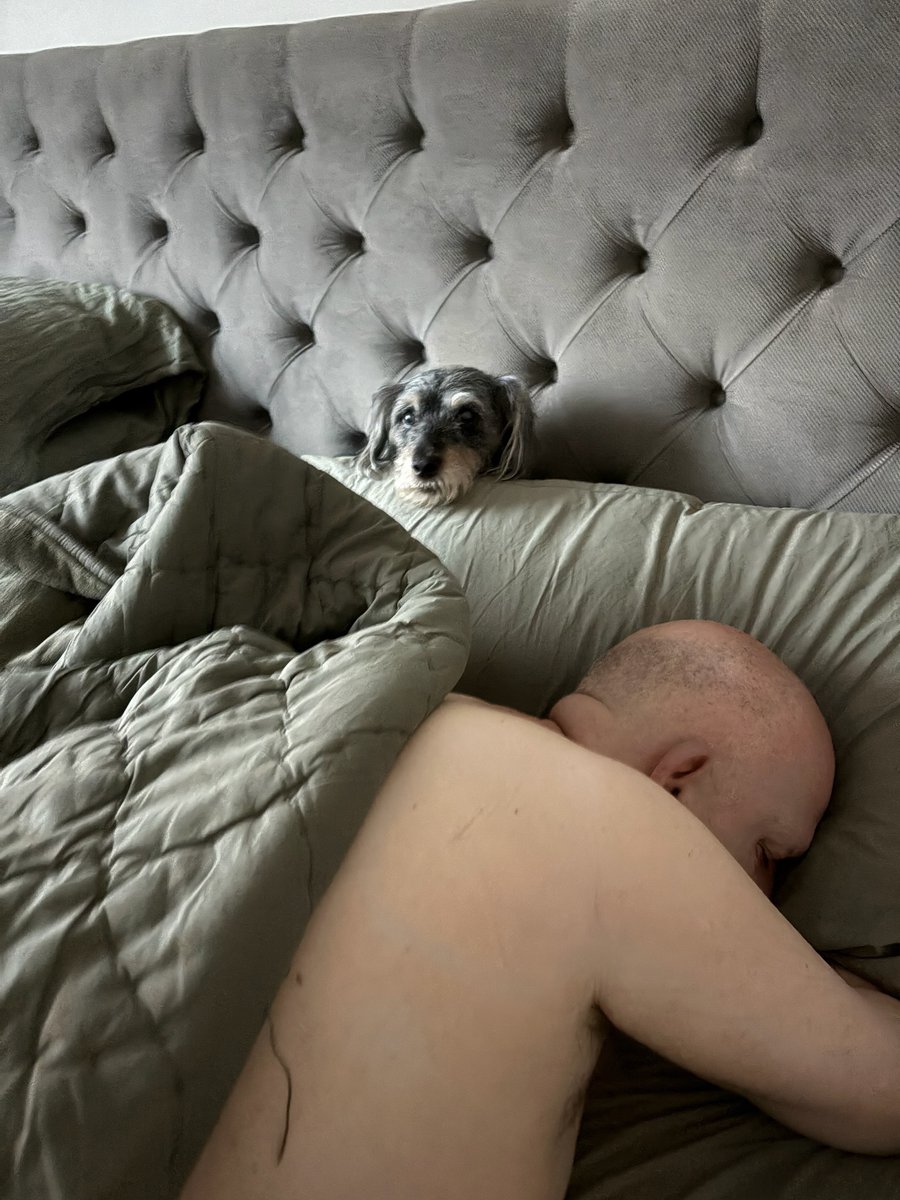 I'm rested up my bodyguard looked out for me all night.