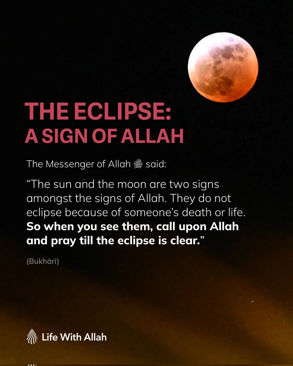 alifewithallah's tweet image. 🌙🌑 An eclipse is a sign of Allah’s power &amp;amp; a reminder of the Day of Judgement. Let it awaken your heart to His greatness &amp;amp; majesty. Reflect on His signs, engage in worship, seek forgiveness for our sins, make duʿā, give ṣadaqah &amp;amp; perform lengthy ṣalāh.

#Eclipse #LunarEclipse