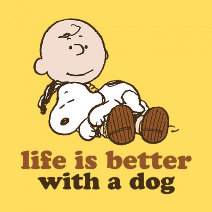 snoopy (@snoopyfans86057) on Twitter photo 