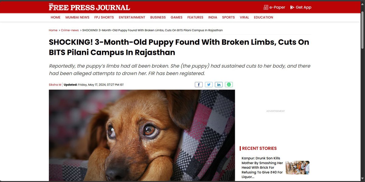 tarana singh tweet media