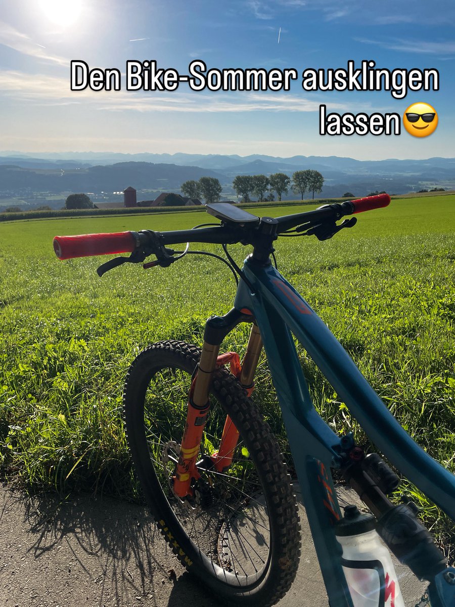 Aber der Herbst wird hoffentlich goldig.🍁🍂