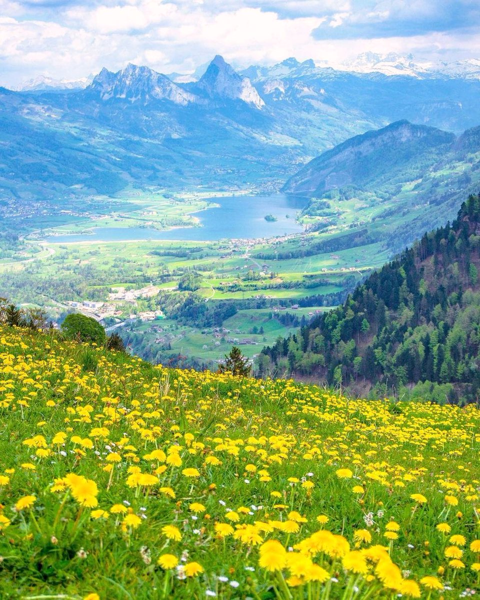 AMAZING Switzerland