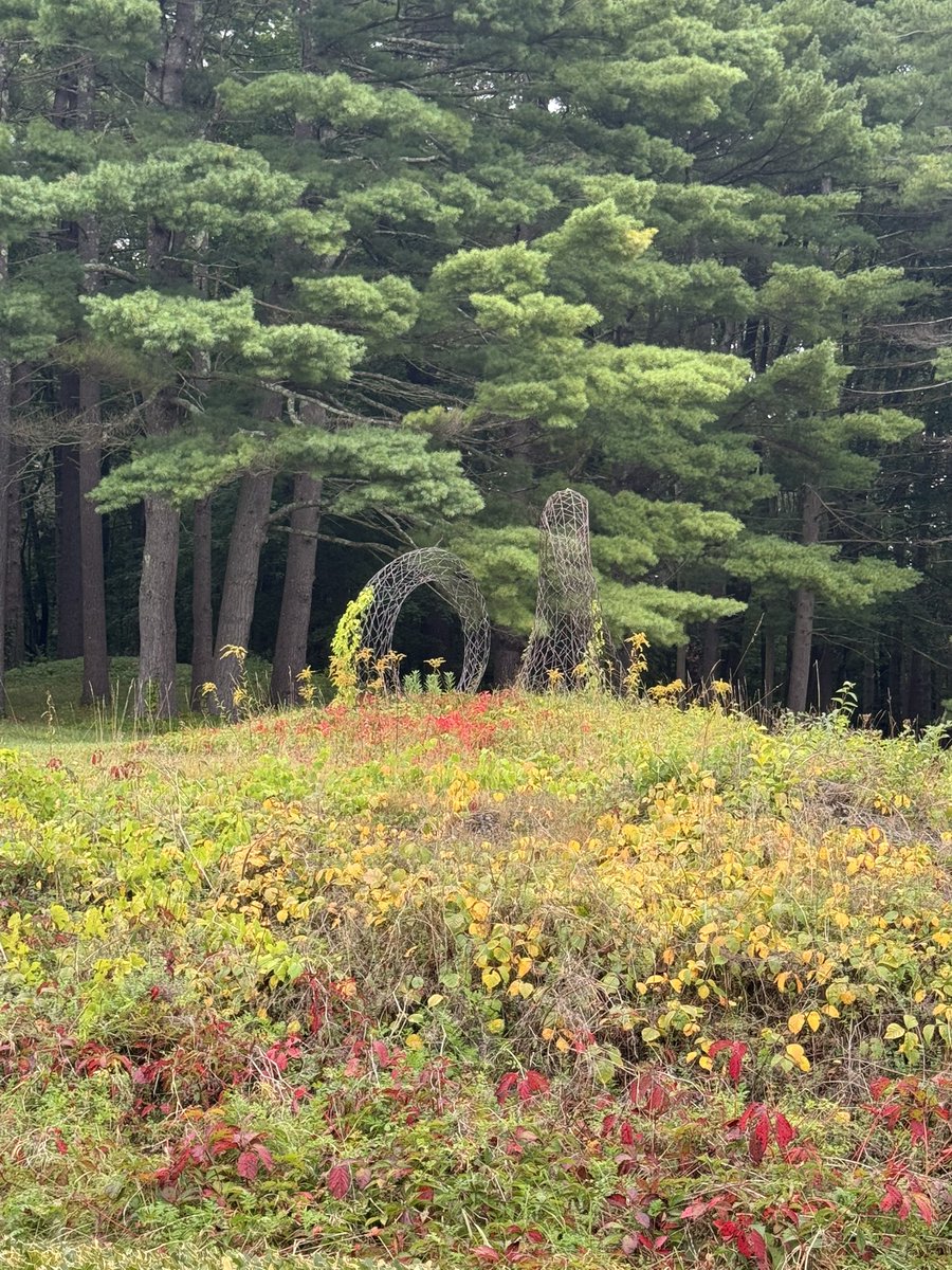 DrBrucePereira's tweet photo. The Lime Walk joins the French Flower garden &amp; the Italian Walled garden on either sides of the garden at The Mount, Edith Whartons home in the Berkshire Mountains.  There are some spectacular views from the lime walk. 

#edithwharton #berkshire #author #writer #gardens #themount https://t.co/gXig6E34ir