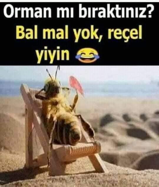 MİNİK MÜTTEFİGİMİZİİZ ARININ İSYANI,

Arıların bal yapacağı doğayı yok edin; sonra da doğal, şifalı bal isteyin...

Size şeker, reçel bile fazla! Glikoz şurubu yeyin!...