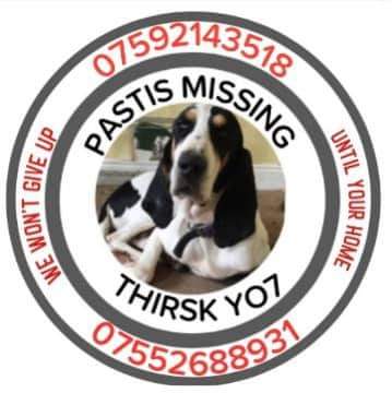 MissingPetsGB's tweet photo. PASTIS #MISSING 3 YEARS
He disappeared from his garden #Thirsk #YO7 in 2021
SUBSTANTIAL REWARD FOR SAFE RETURN
Pastis has a distraught family, desperate for information of their beloved boy. PLEASE if you have him let him go home to his family https://t.co/b5Huf2AzqB