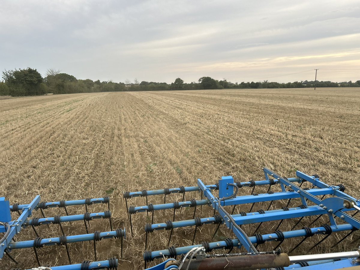 Louis Stephenson tweet media