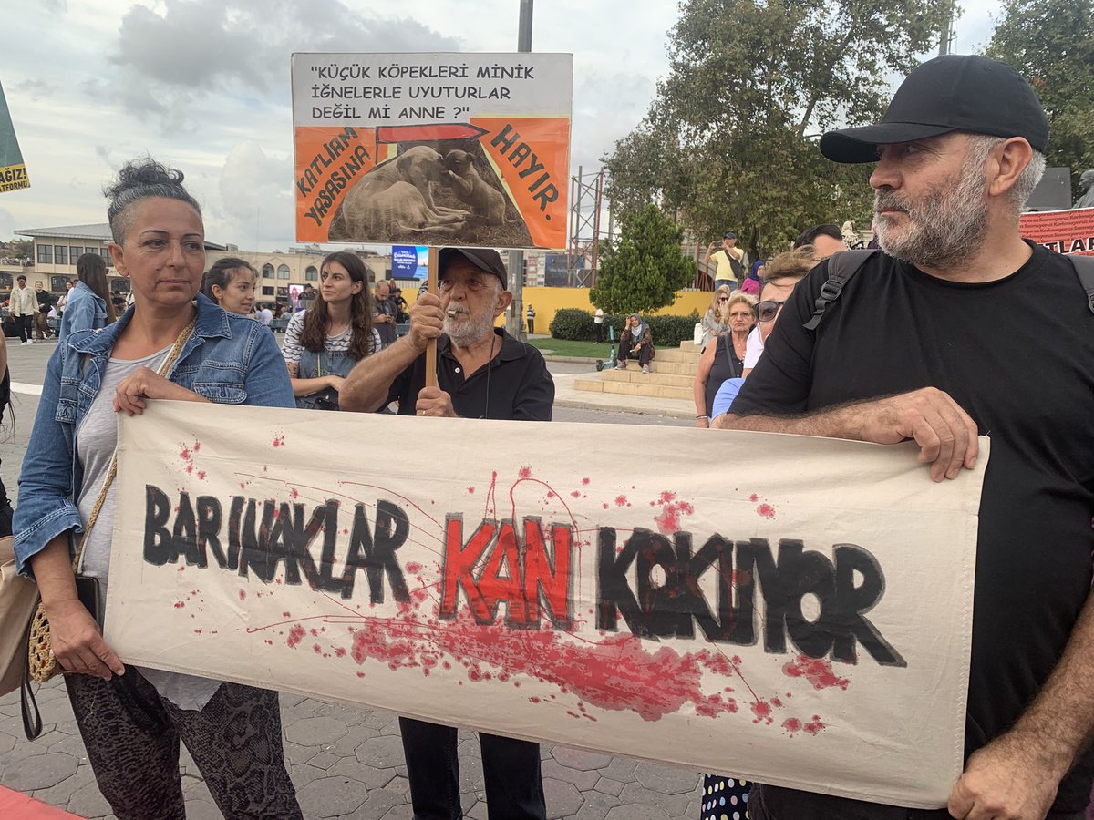 Patili Direniş (@patilidirenis) on Twitter photo Bugün, Kadıköy Rıhtım komşu mahallelerinden Osmanağa, Caferağa ve Rasimpaşa mahalle gönüllüleri olarak <a href="/yasatacagizp/">Yaşatacağız Platformu</a> platformunun düzenlediği “Dostlarımızı vermiyoruz” eylemindeydik📣🐾😻 Bugün, Kadıköy Rıhtım komşu mahallelerinden Osmanağa, Caferağa ve Rasimpaşa mahalle gönüllüleri olarak <a href="/yasatacagizp/">Yaşatacağız Platformu</a> platformunun düzenlediği “Dostlarımızı vermiyoruz” eylemindeydik📣🐾😻