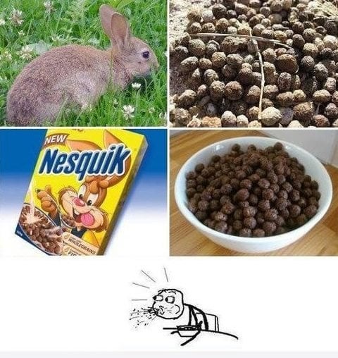 🐱 𝙶𝚕𝚞𝚙 𝚂𝚑𝚒𝚝𝚝𝚘 🚘 (@glup_shittoo) on Twitter photo 