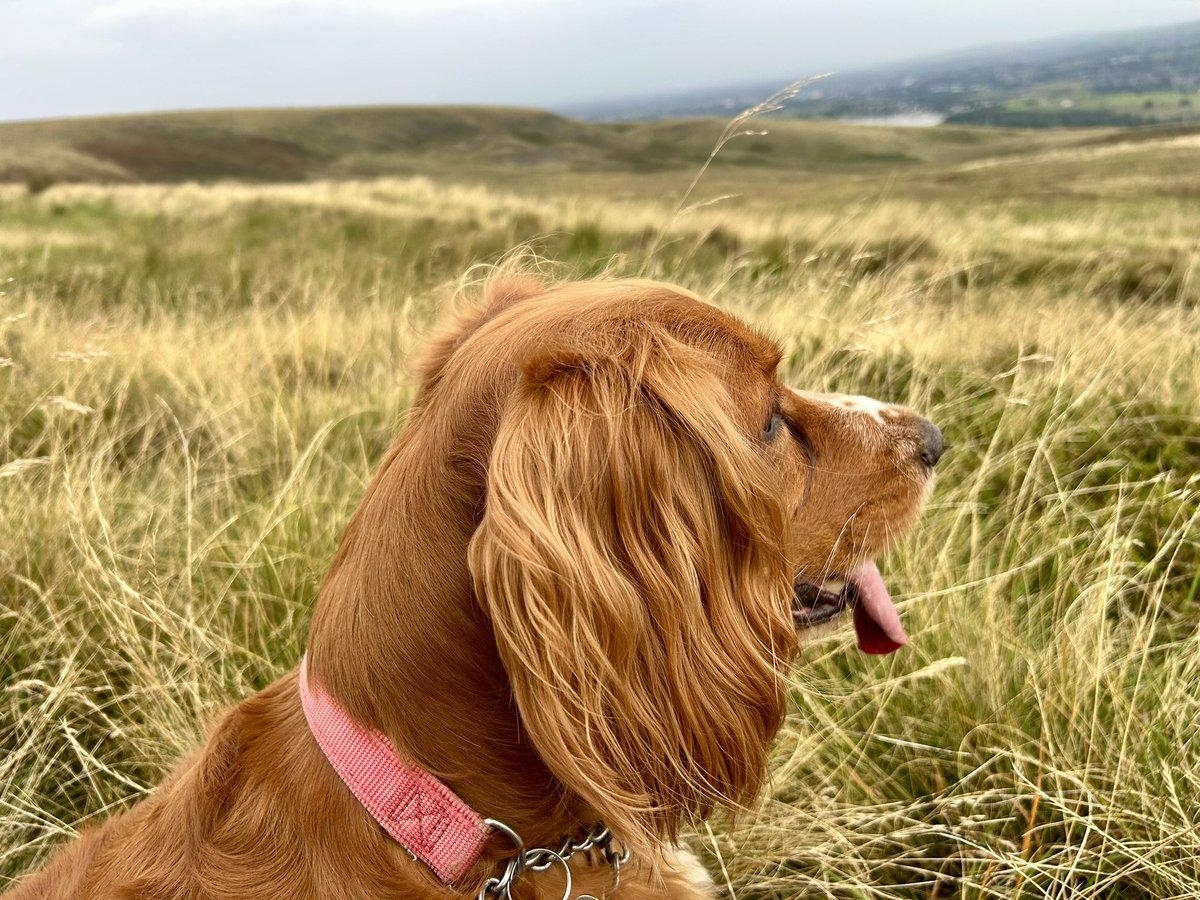 CloranKay's tweet photo. Buckstones edge https://t.co/ZRs3c6AsX7