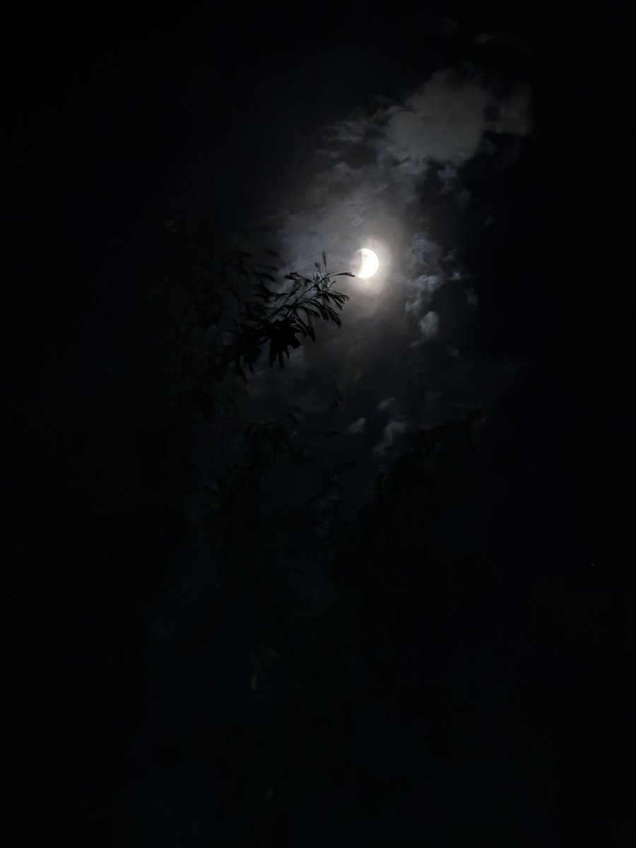 Omg 😭 Such a pretty sight
#lunareclipse #india