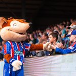 Photo by Olga The Fox (@Olga_CUFC)