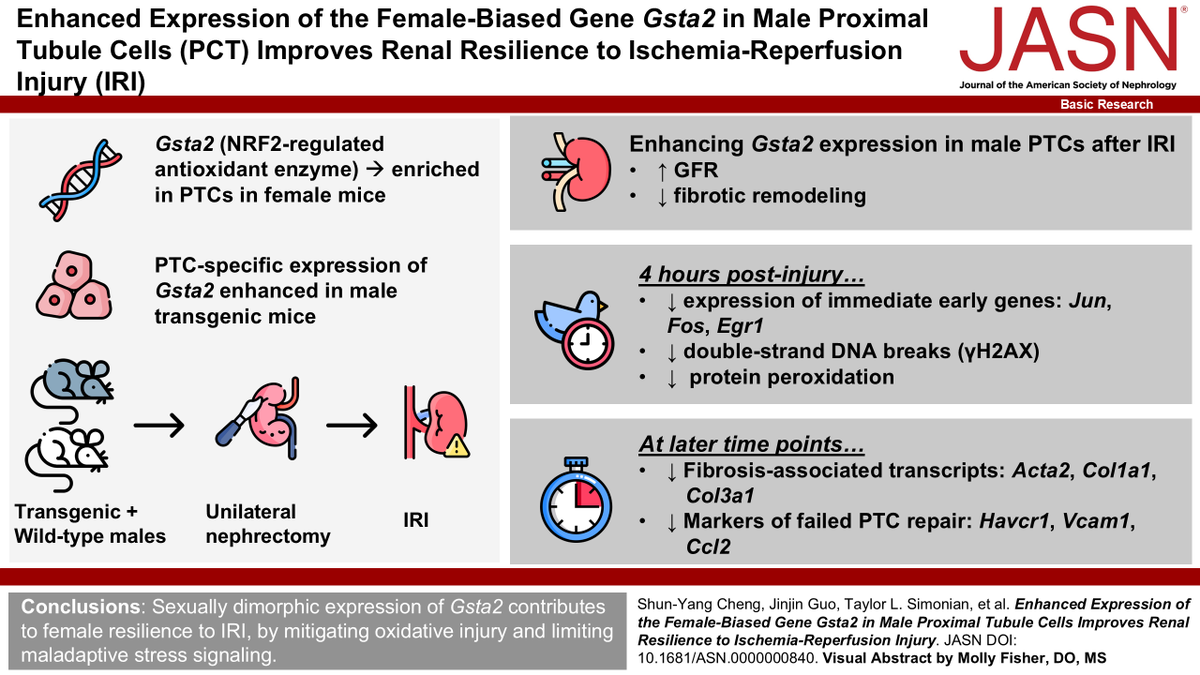 ASN Publications tweet media