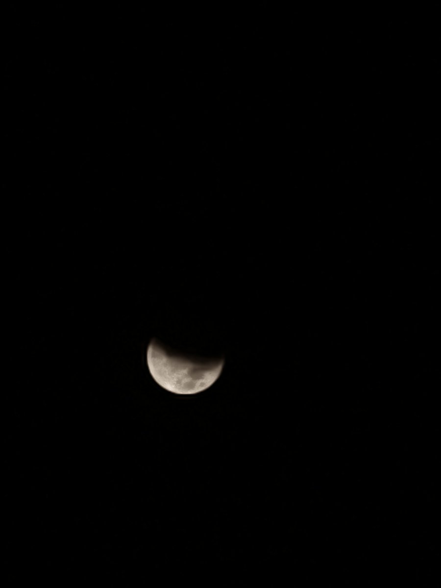 chrsty_m's tweet photo. Gerhana Bulan

01.00, Sulawesi Utara https://t.co/FslFqs0QWE