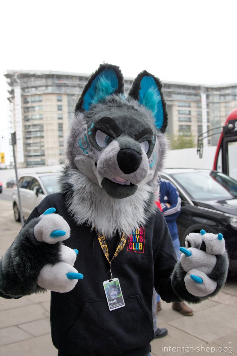 "and then we all started howling"

📸 <a href="/internet_shep/">The Shep Making The Internets Work</a>