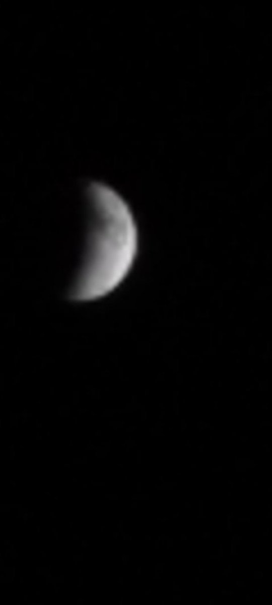 آی توتولور!!!!