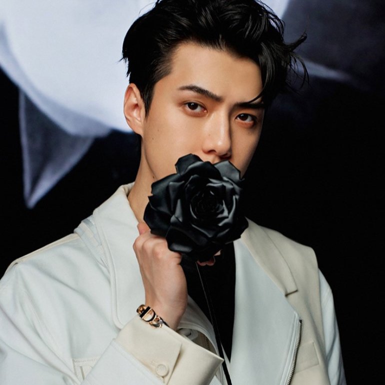 TheePopCore's tweet photo. EXO's Sehun has already completed 98% of his military service and will be officially discharged in just 12 days. https://t.co/jCpBHefjbI