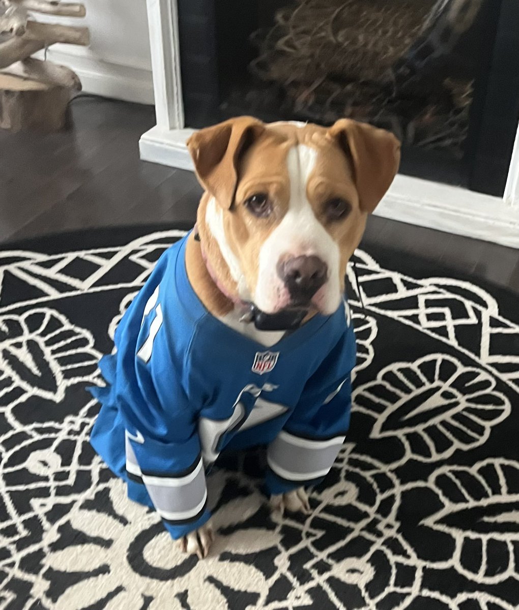 swleighton's tweet photo. We pumped for week 1?  Yup! Or at least one of us and the other two may be posing for treats. Go @Lions !! Shred the cheese!!! https://t.co/fDvt2k0Uuz