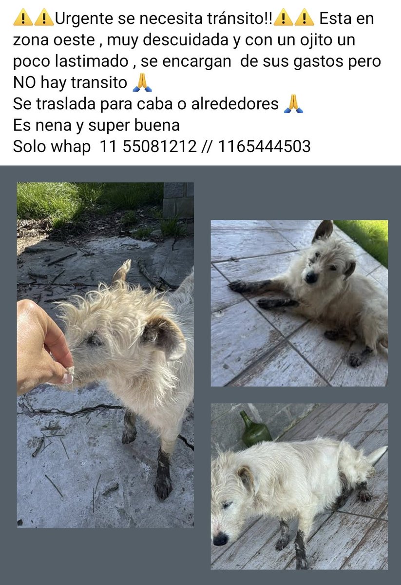 Urgente transito!!!