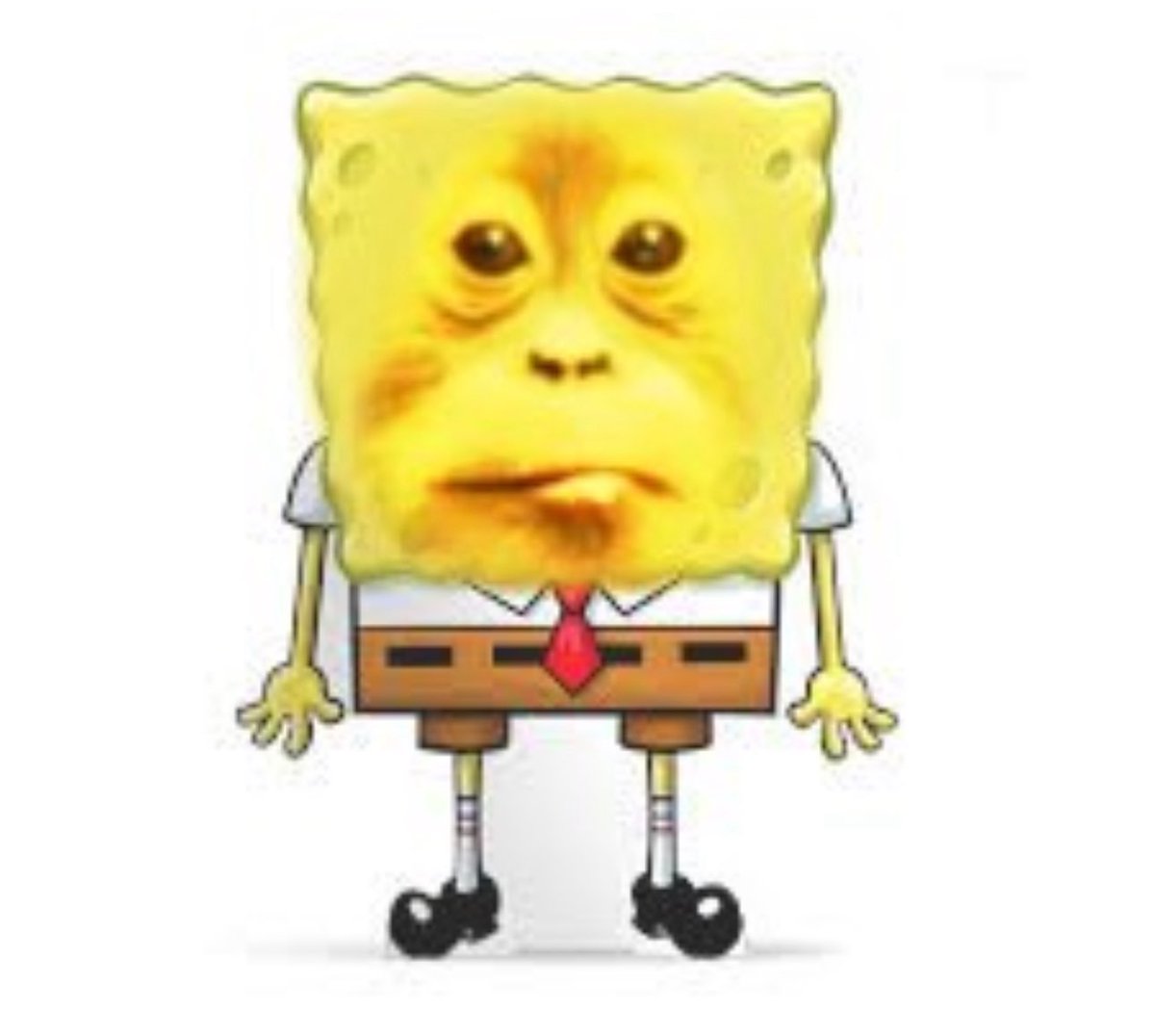 quad_with_no_e's tweet image. beanchili