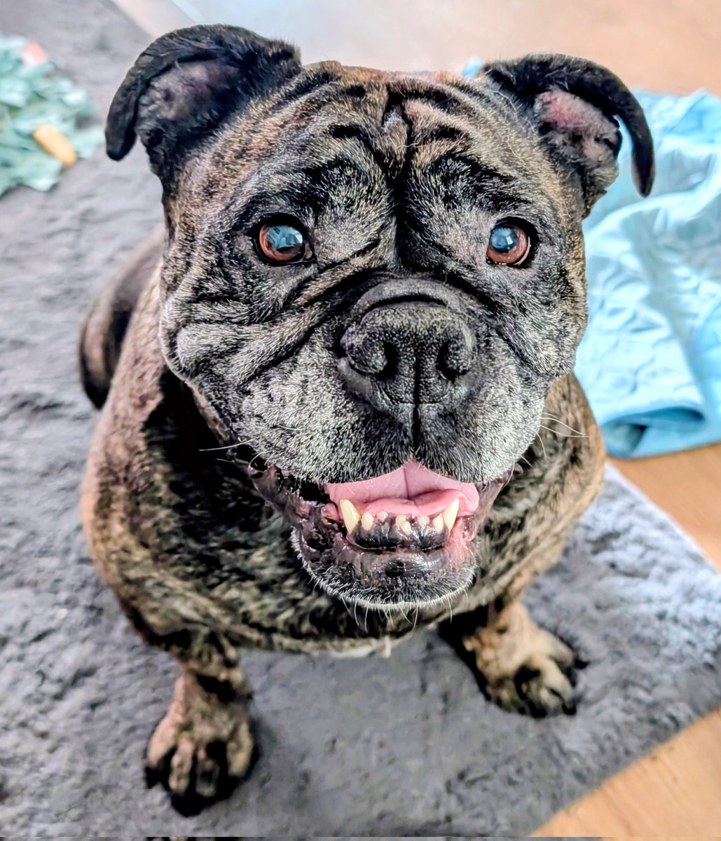 Fifi Lou tweet media