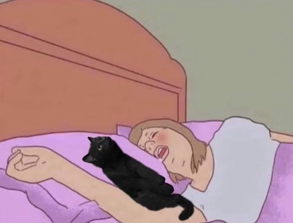 Black cats are not bad luck (@visualscat) on Twitter photo 