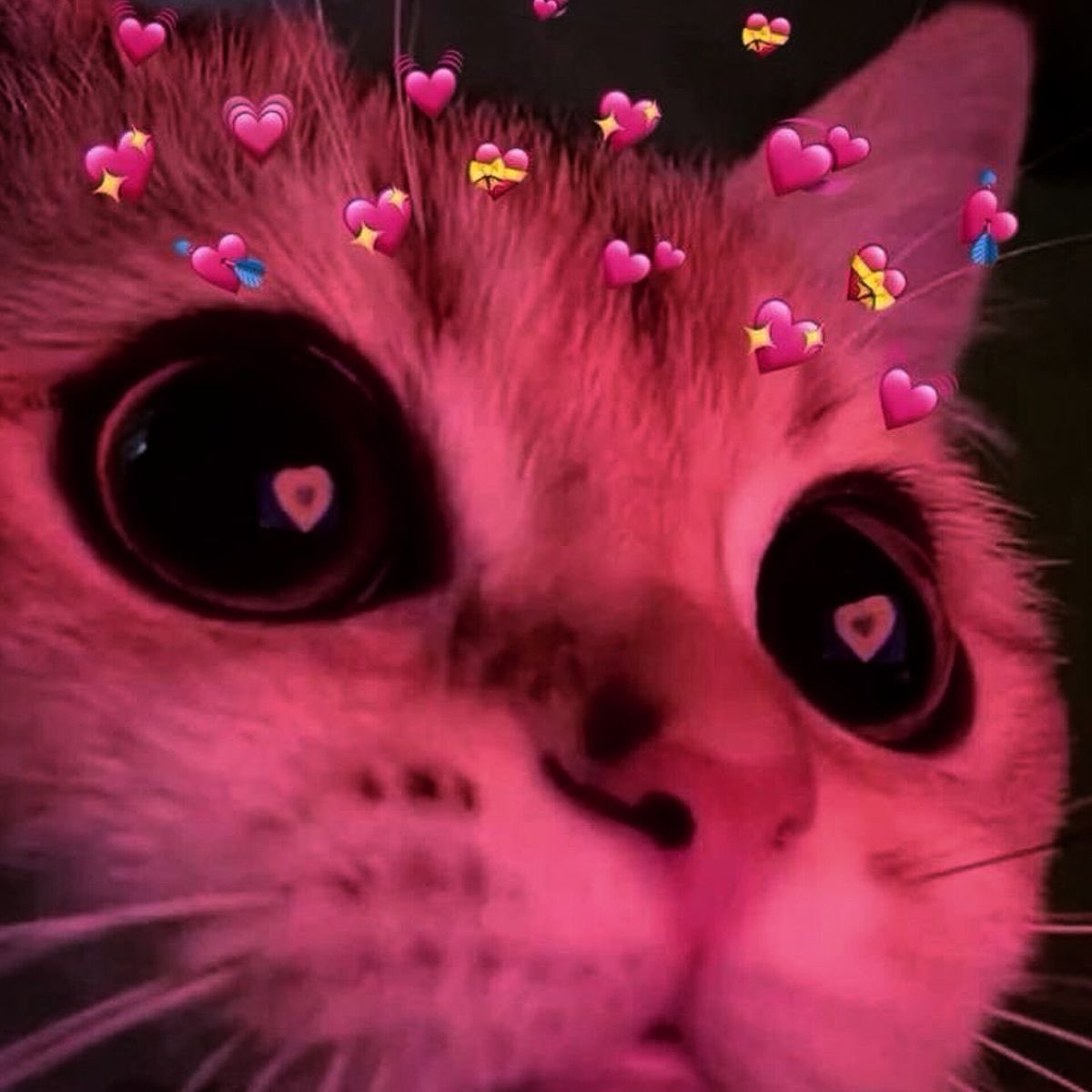 oi gente não sou nova no Twitter, estava um tempinho afastada e estou voltando. 

busco amizades!! fav que chamo 🫶🏻