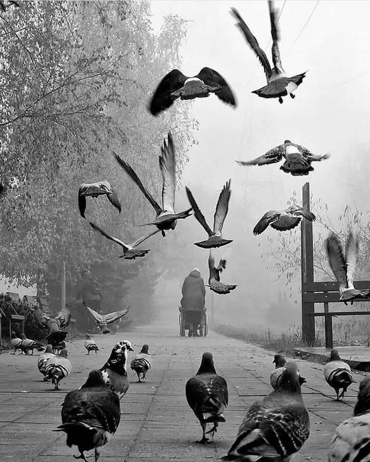 "Que sensación tan buena y tan profunda, ir desprendiéndose de todo y todos los que nada merecen, y reconocer, más allá de los años y las fronteras, una familia de espíritus afines.
Sintiéndose uno rodeado y acompañado, al fin, por muy pocos".

          — Albert Camus