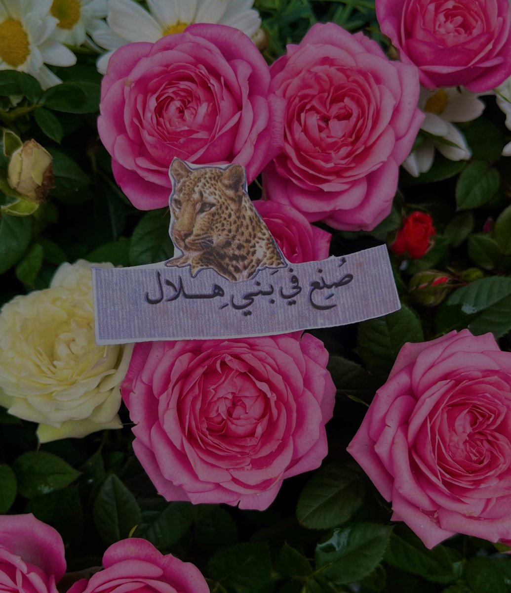 Bani Hilal Pinterest (@alhilali_pin) on Twitter photo 