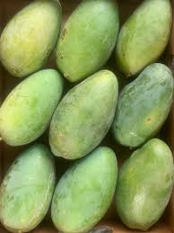 تعالوا اشربوا مانجا 🤣🥭🥭